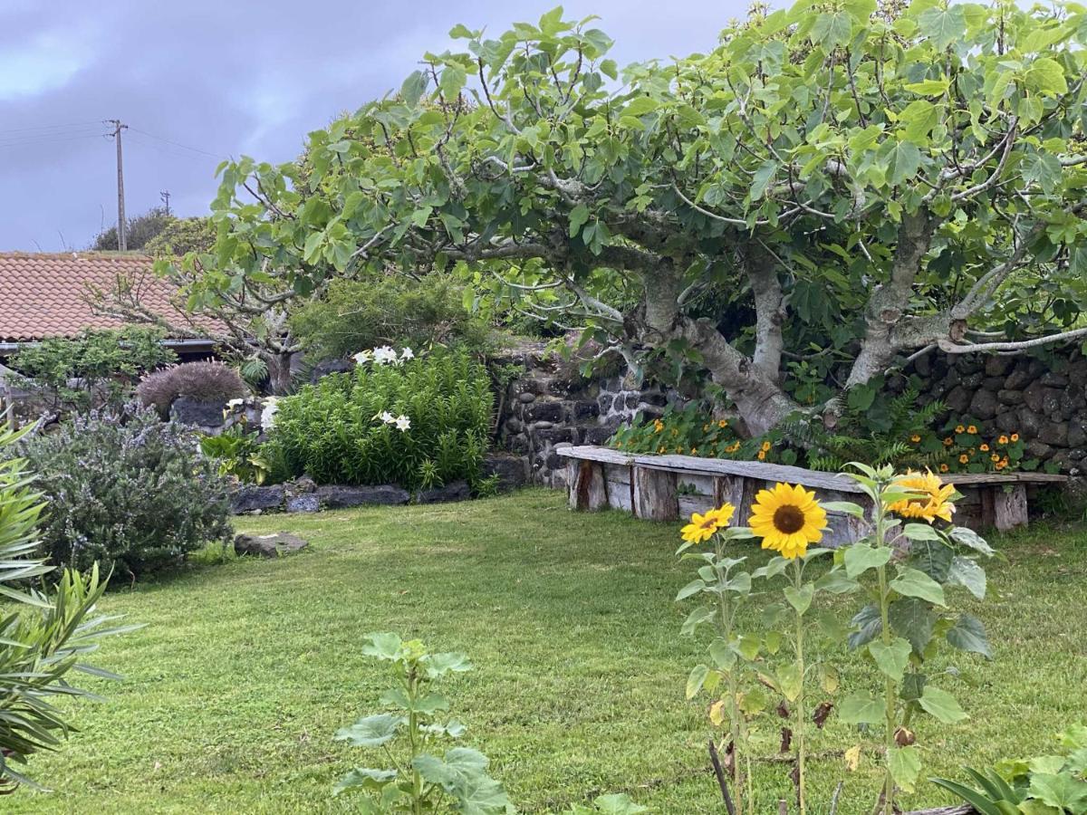 Quinta Perpetua, Casa Flores Santa Cruz da Graciosa Exterior photo